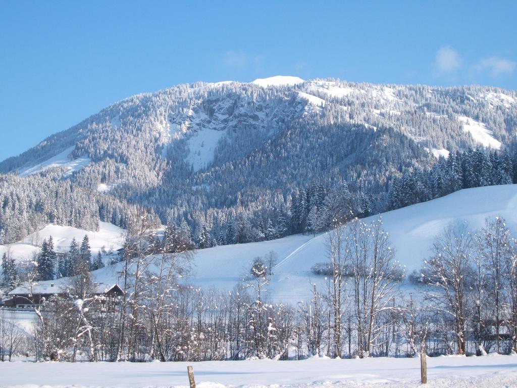 Grieswirt Otel Sankt Johann in Tirol Dış mekan fotoğraf